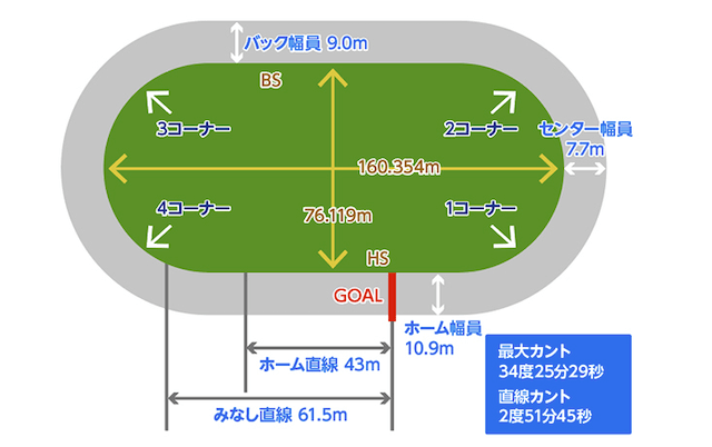 マッコーネル曲線画像